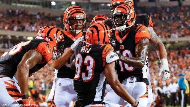 九游体育app关于庐州猛虎队爆冷剑门猛虎队，冲浪杯赛上演耐力碾压对手！外援联手发威的信息